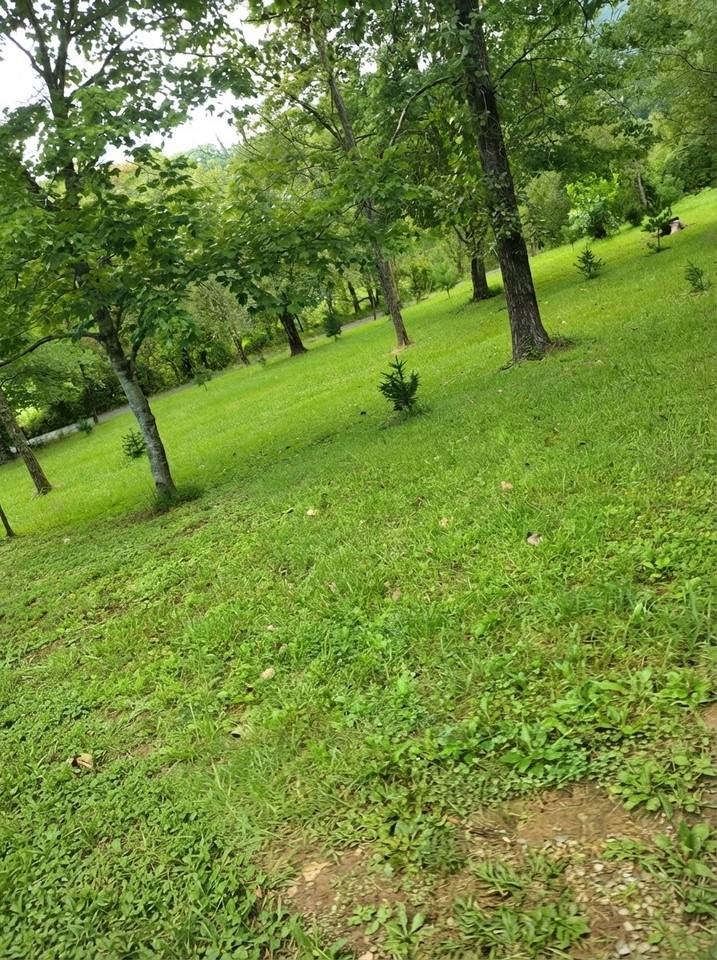 444 Walkertown Rd #NA - Photo 5 of 19