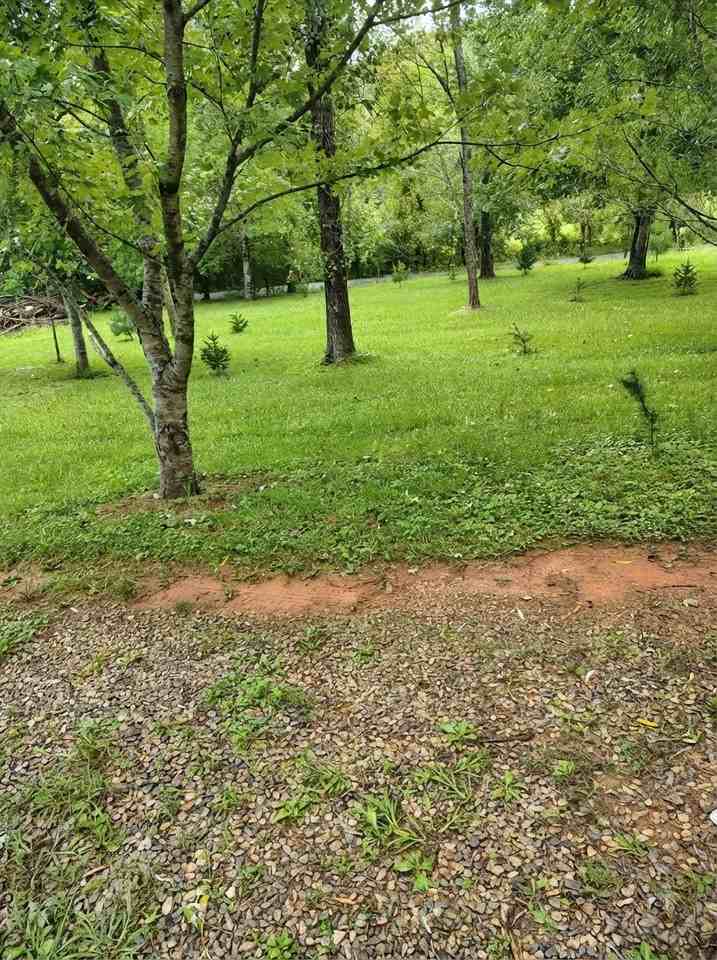 444 Walkertown Rd #NA - Photo 6 of 19