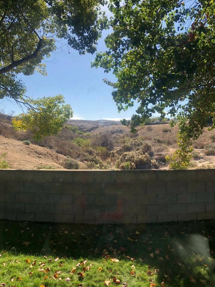 830 Via Mindi - Photo 7 of 20