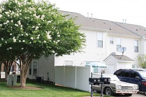 Atherton Way #704 - Photo 7 of 7