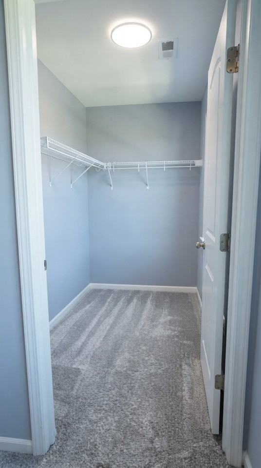 1019 River Birch Blvd - Photo 5 of 17