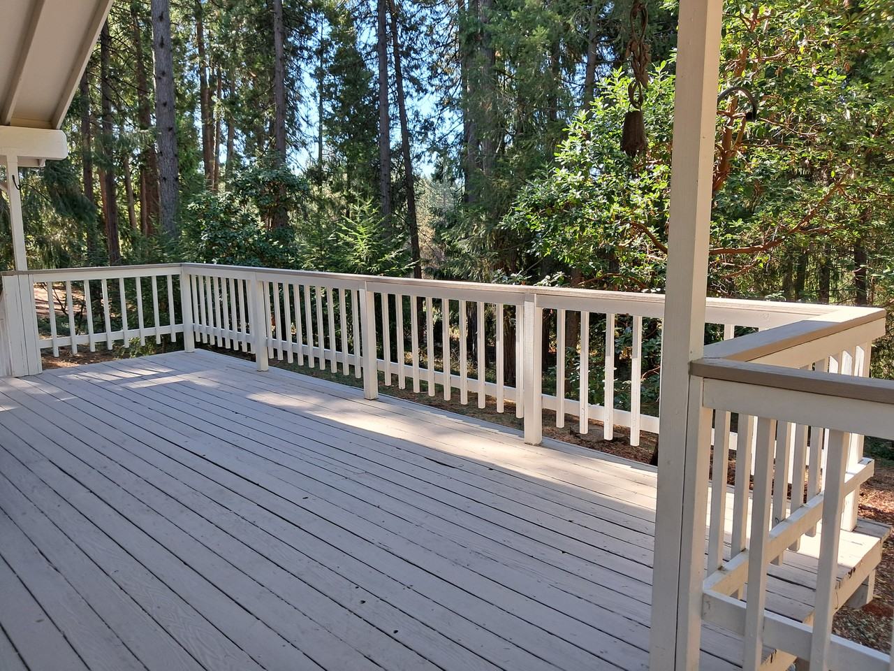 2601A Sky Ranch Ln #NA - Photo 6 of 25