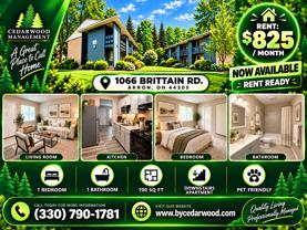 1066 Brittain Rd - Photo 1 of 1