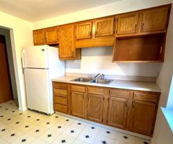 44 Latona - Photo 1 of 1