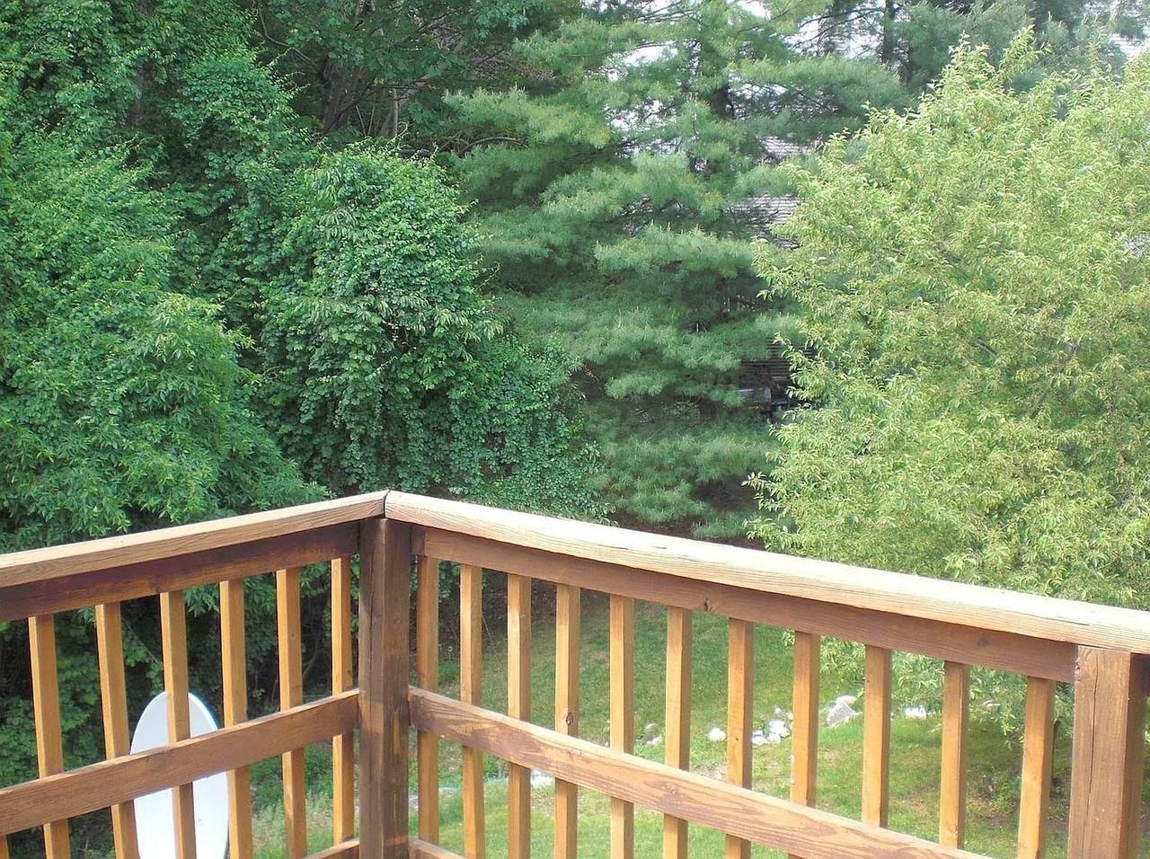 78 Abbey Bridge Ct - Photo 3 of 48