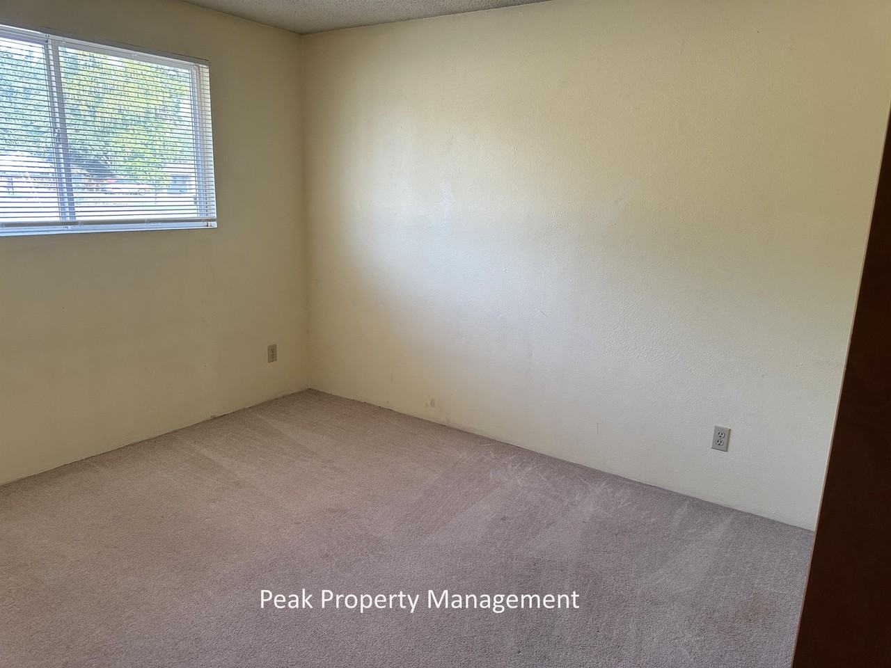 1518 E Ash St #1518 - Photo 7 of 11