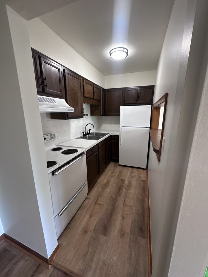 220 E Adams St #8 - Photo 6 of 21