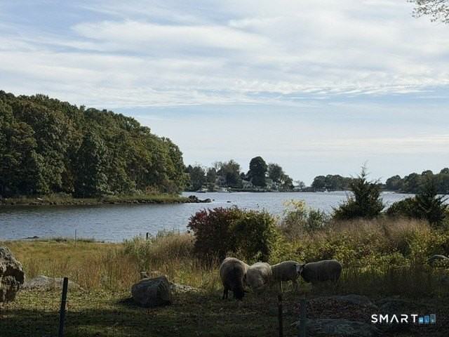 37 Joyce Street - Photo 2 of 29