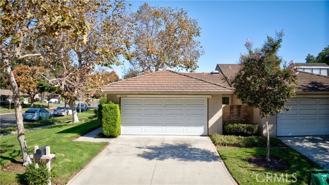 17222 Citron - Photo 1 of 1