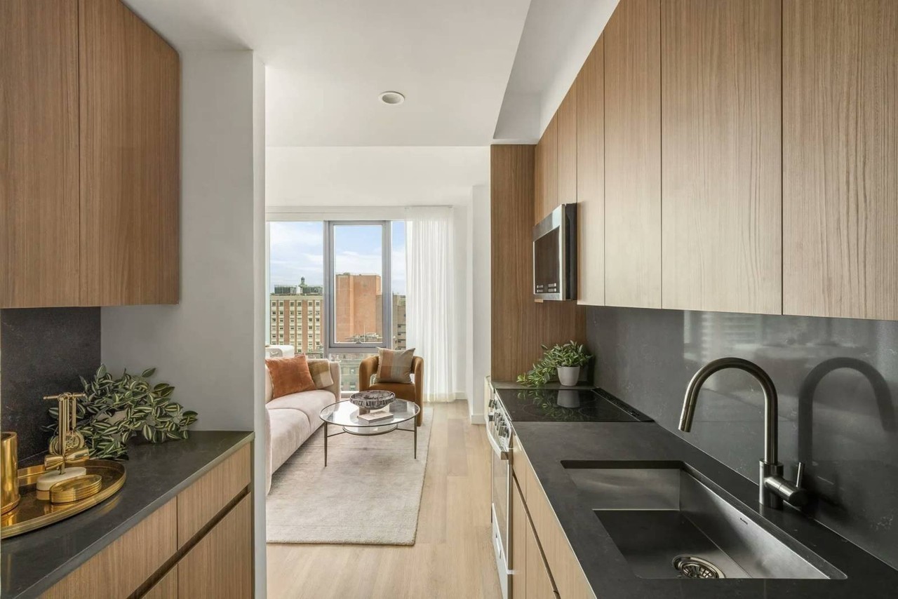 89 Dekalb Ave #26D - Photo 4 of 15