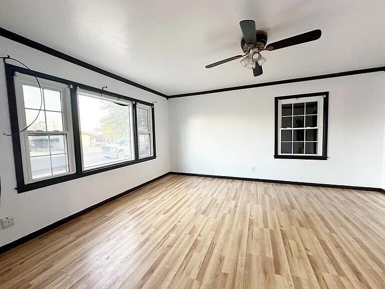1519 Beverly St - Photo 2 of 15