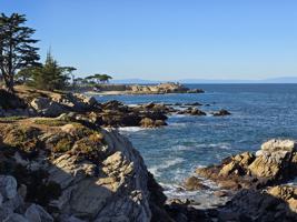featured image of 505 Lighthouse Ave #201