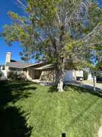 featured image of 37521 Laurel Ct