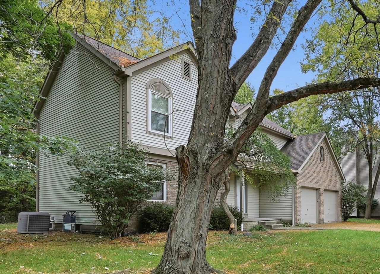 568 Elm Ct - Photo 3 of 41