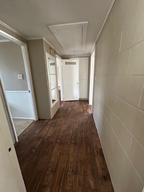 119 Doris St #NA - Photo 7 of 15