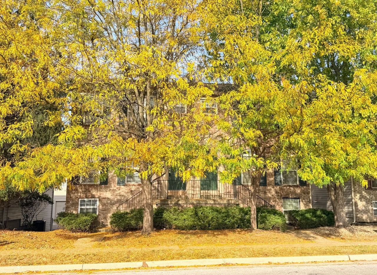 3023 Skylar Ln