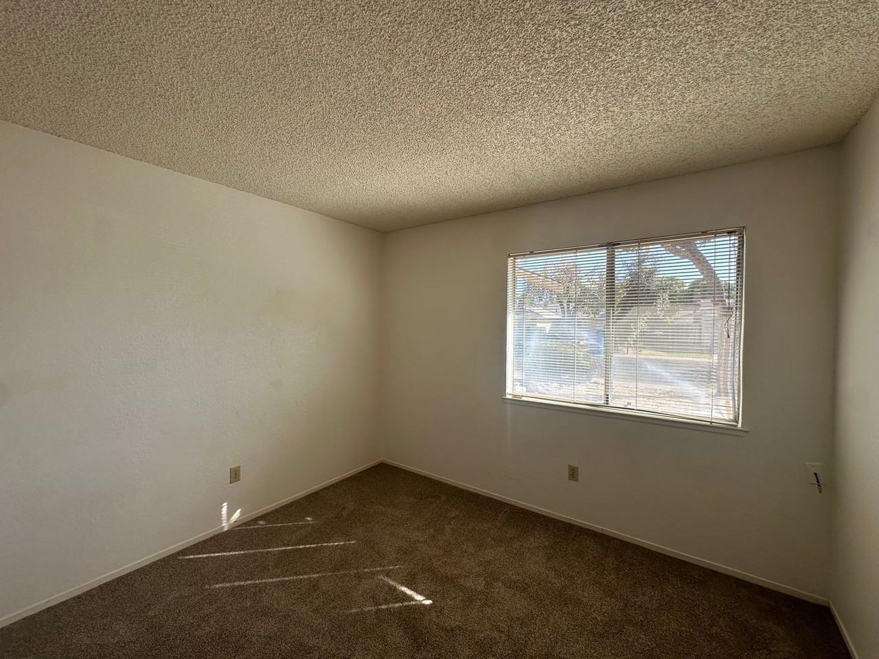2521 Casita Dr - Photo 7 of 18