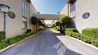 535los - Photo 1 of 1