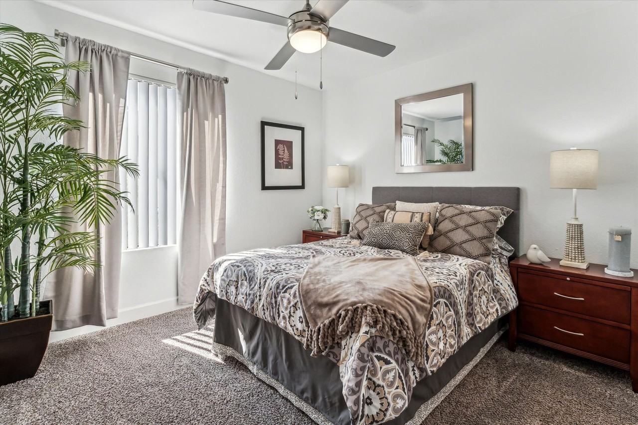 Lucera Apartments Homes - Photo 2 of 12