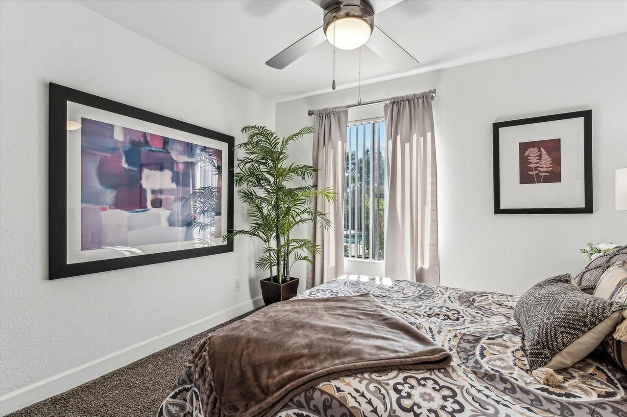 Lucera Apartments Homes - Photo 3 of 12