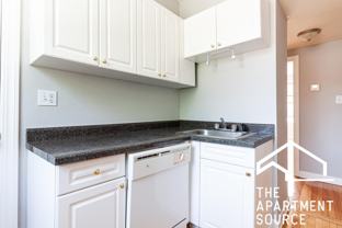 552 W Aldine Ave #S1 - Photo 1 of 1