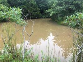 featured image of 15418 E State Hwy E Lot N #NA