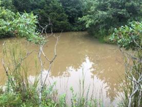 15418 E State Hwy E Lot N #NA - Photo 1 of 1