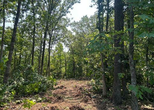 13600 E State Highway 47 Lot 2 #NA