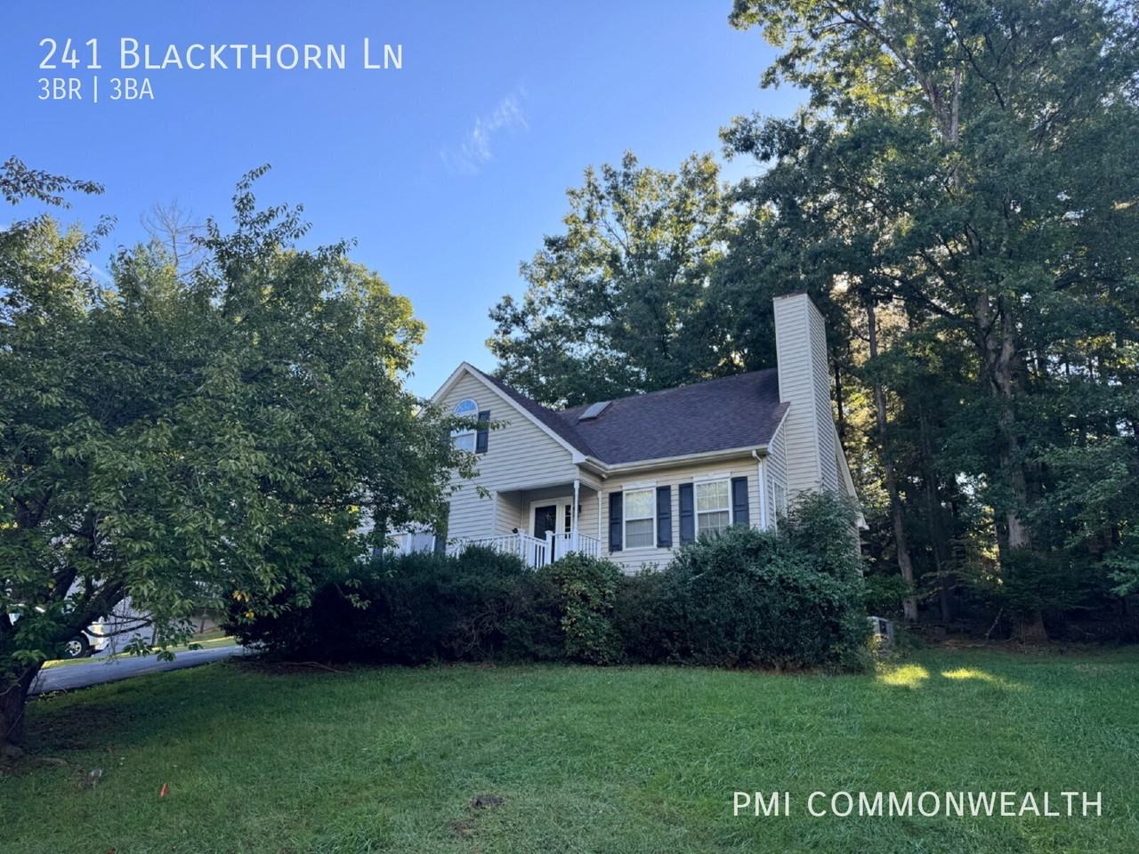 241 Blackthorn Ln - Photo 2 of 28