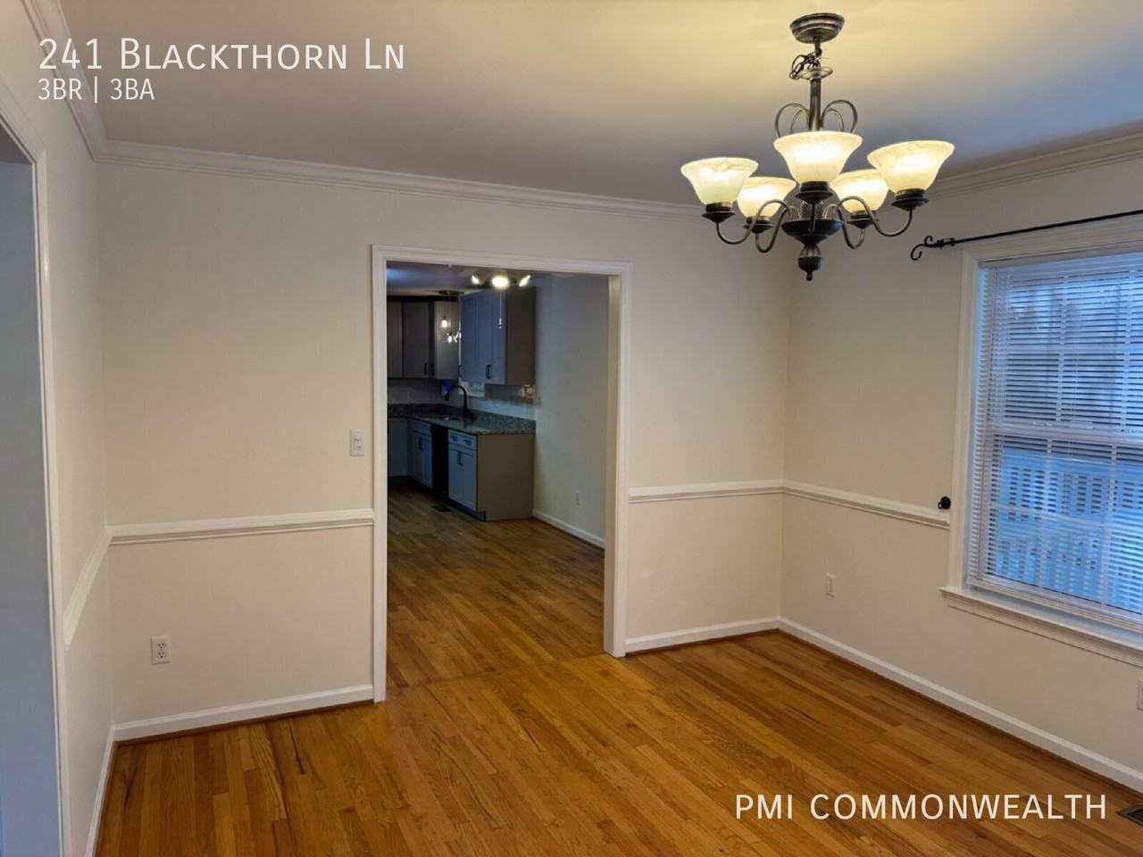 241 Blackthorn Ln - Photo 6 of 28