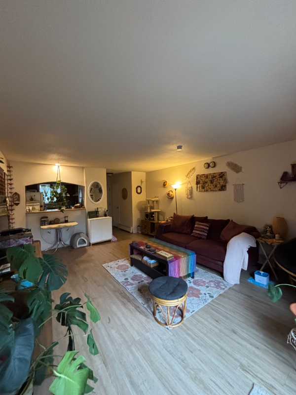 403 E Thunderbird Dr - Photo 5 of 17