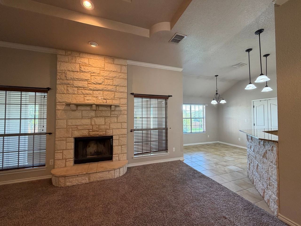 2411 Nickelback Dr - Photo 6 of 23