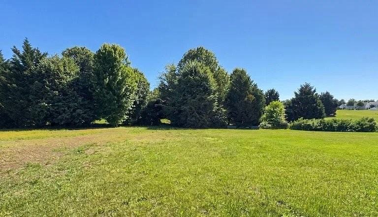 158 Bellflower Ln - Photo 2 of 10