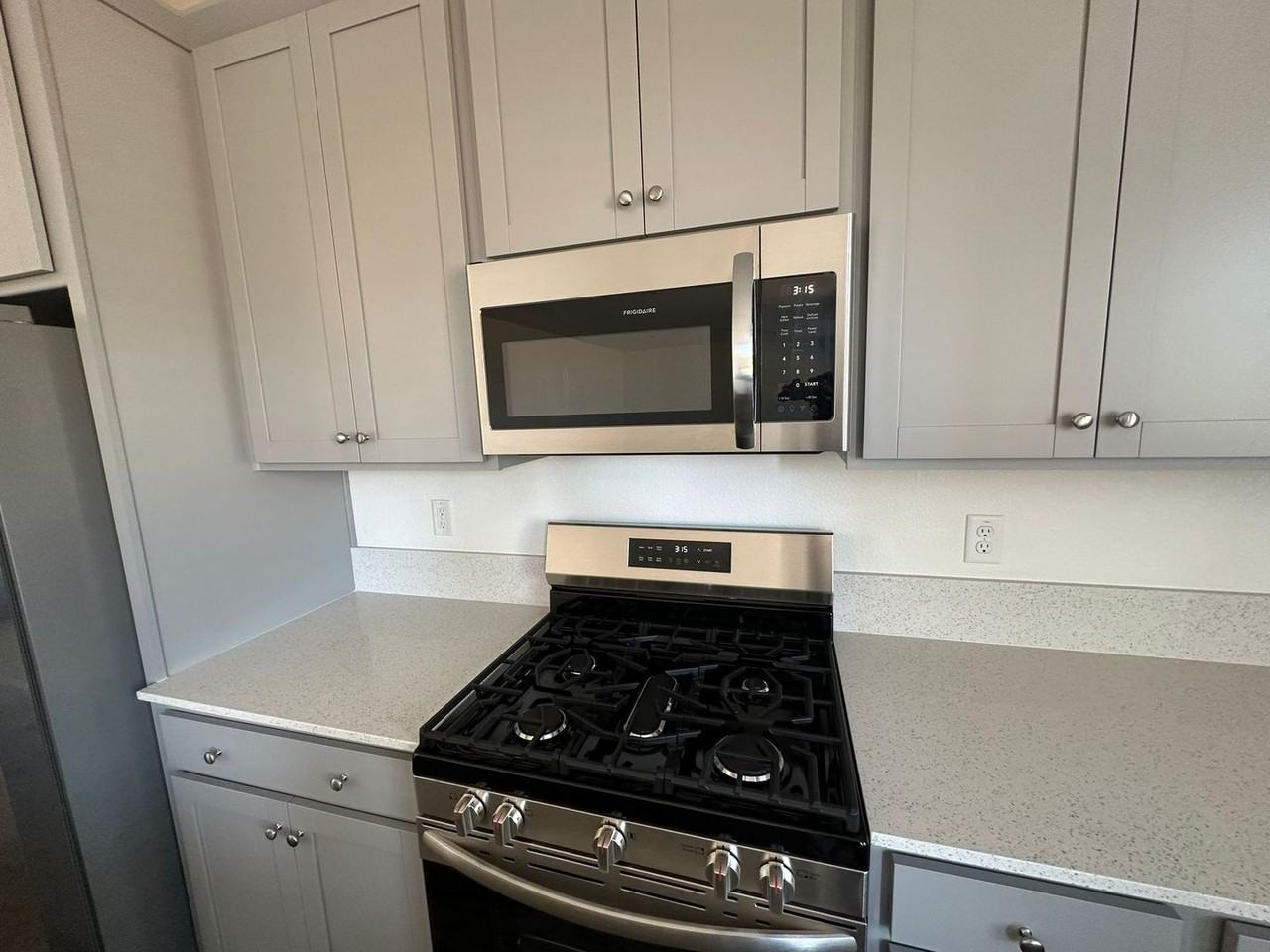 4484 Arctic Tern Way - Photo 4 of 38