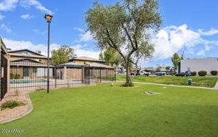 featured image of 286 W Palomino Dr