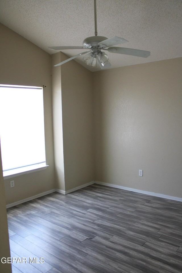 3801 Rocio St - Photo 7 of 18