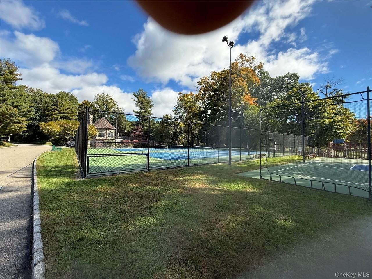 1408 Eagle Bay Dr - Photo 2 of 22