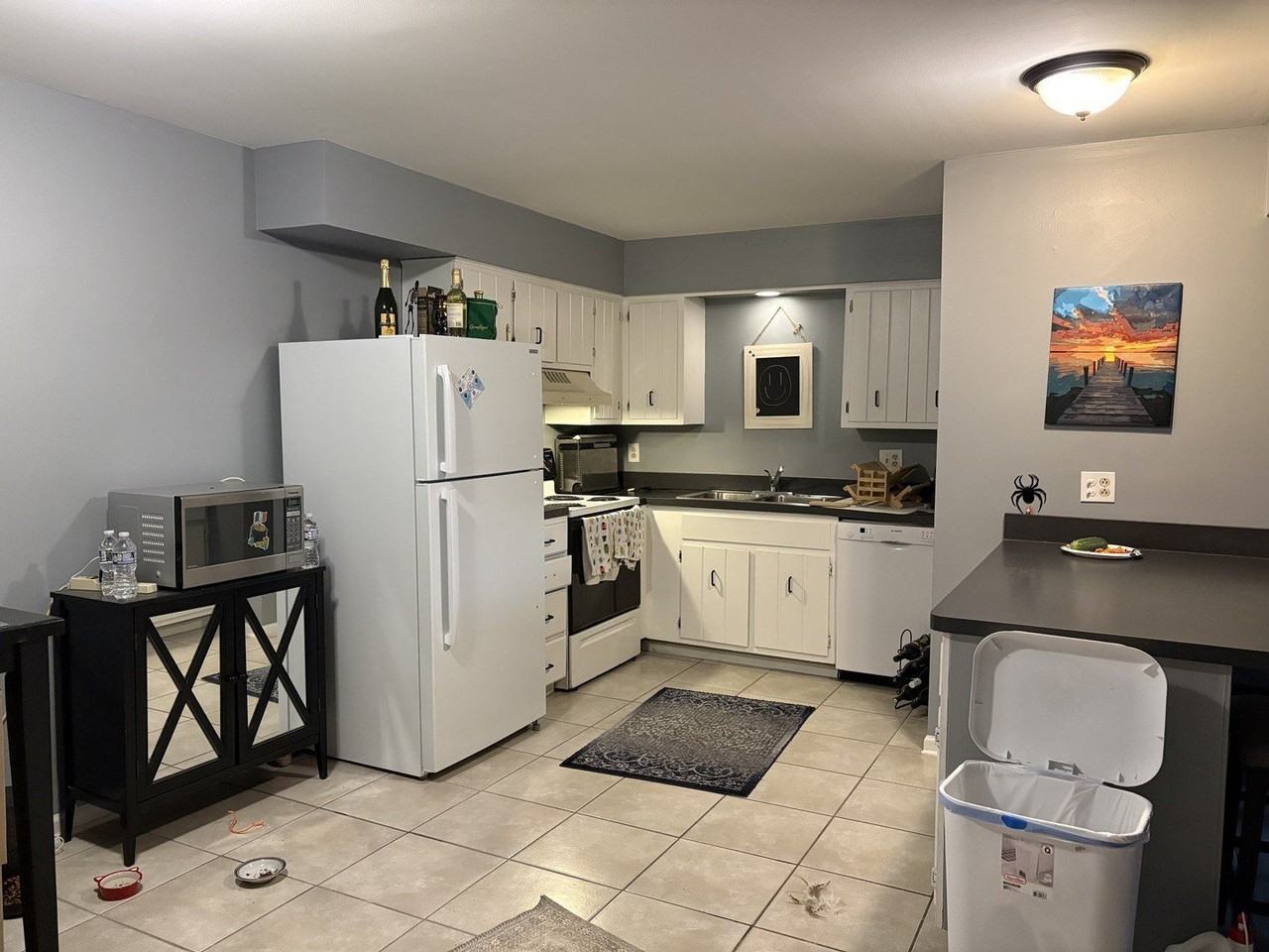 20206 S Frankfort Square Rd #J - Photo 3 of 15