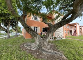 3591 Sw 10th St #12B - Photo 1 of 1