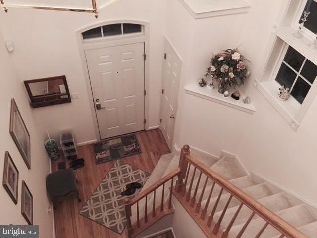 8011 George Fox Pl - Photo 2 of 9