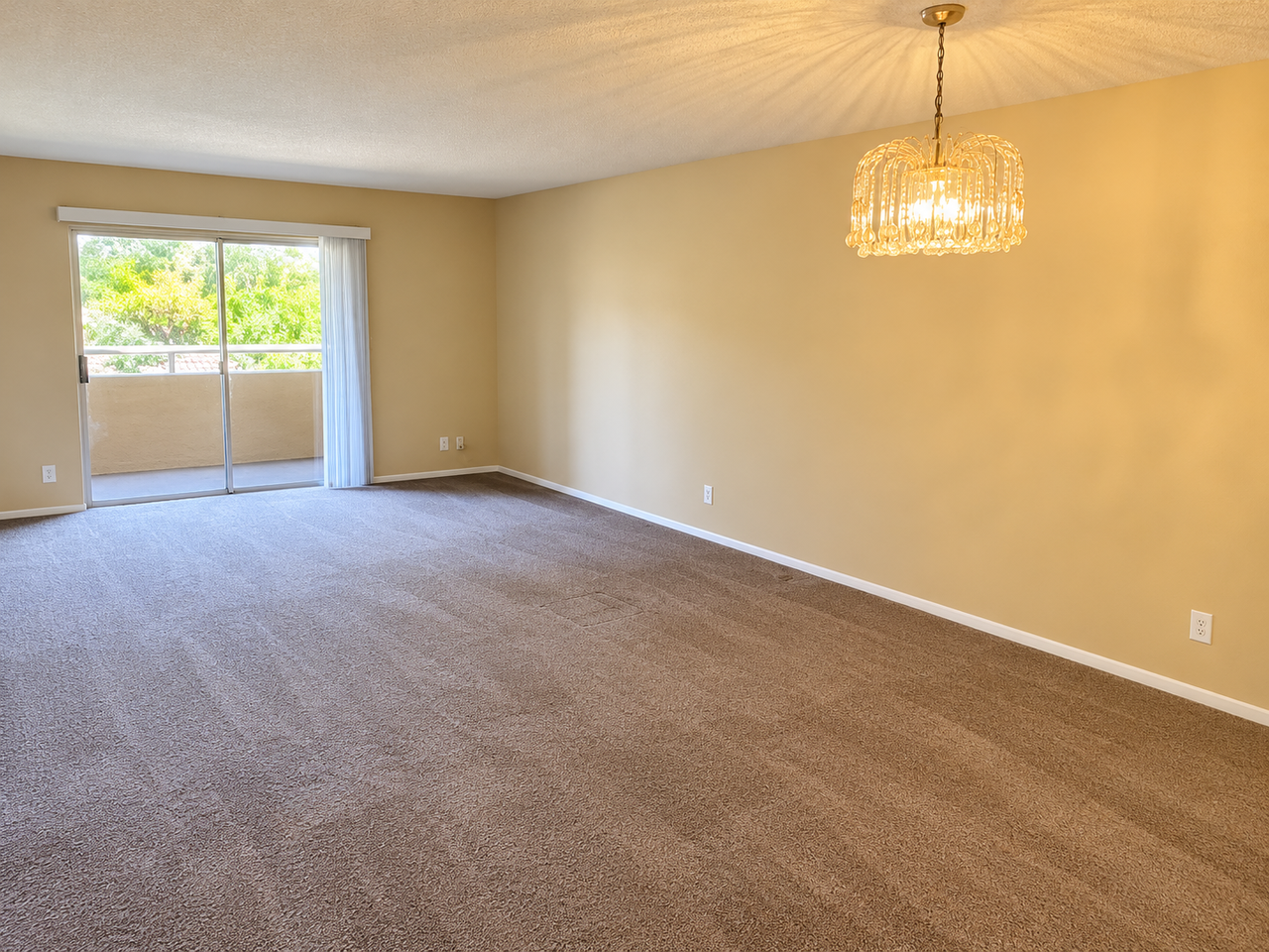 4050 E Cactus Rd #204 - Photo 2 of 20