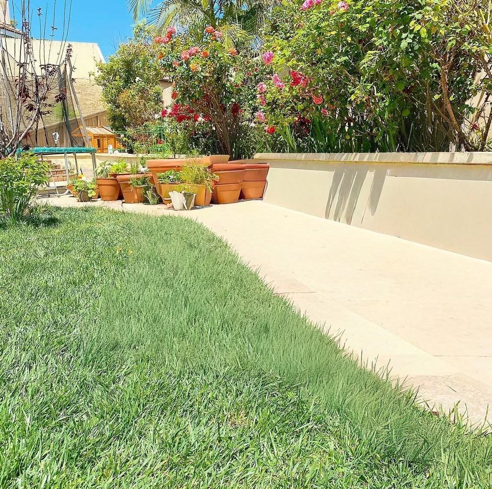 1252 Stagecoach Trail Loop #NA - Photo 4 of 20