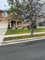 6851 Lokai Ct - Photo 1 of 1