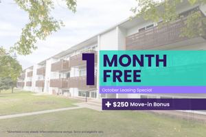 featured image of 16316 106a Ave Nw