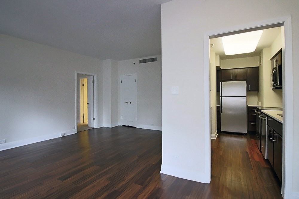 195 E Delaware Pl #909 - Photo 5 of 20