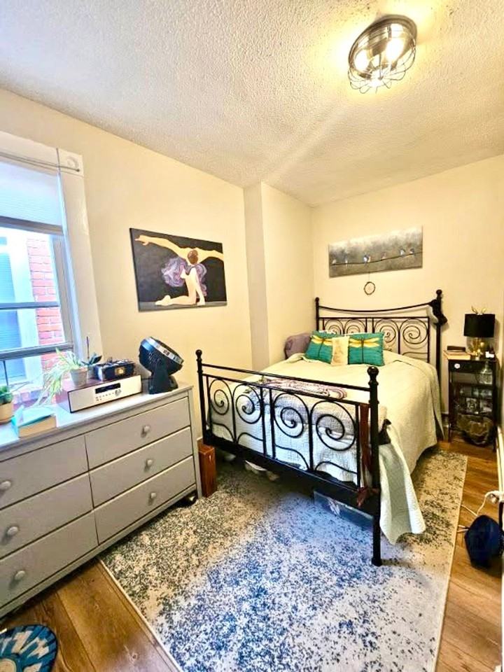 Great Renovated Two Bedroom Apt in the Heart of Church Hill - Photo 7 of 12