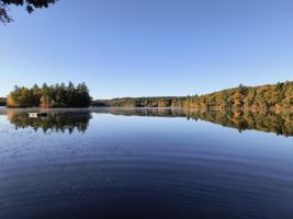 featured image of 968 Forest Rd #D