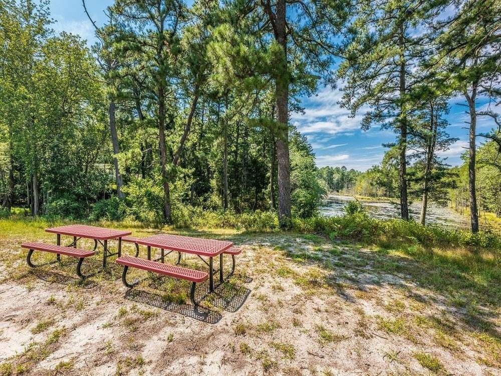 36 Woodchuck Pkwy #8036 - Photo 4 of 10