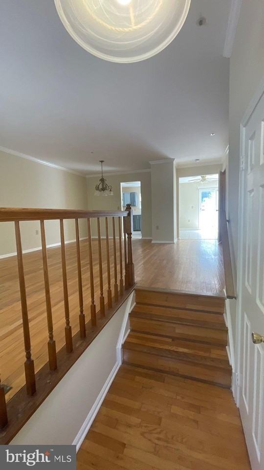 3219 Scarlet Oak Ter - Photo 3 of 29