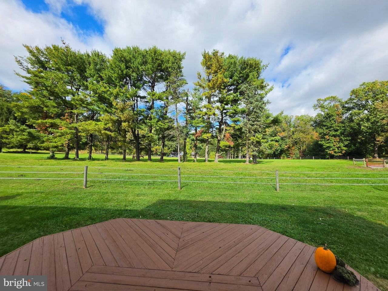 1112 Telegraph Rd - Photo 2 of 19